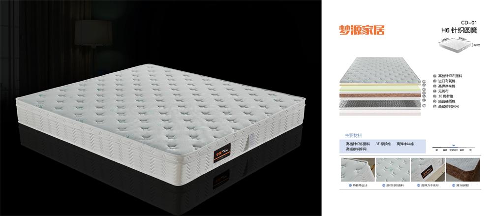 CD-01 H6针织圆簧